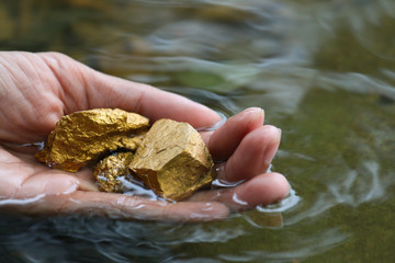 Pure gold ore found in the mine on hand.