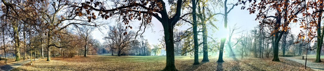Beautiful lightning in trees in fall time