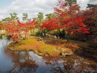 Obraz premium Beautiful scene of colorful red maple trees with large pond in public park, Kyoto, Japan