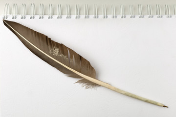 Top view image of an open notebook with a blank page, with a ballpoint of goose feather. The form is ready to add text or a picture.