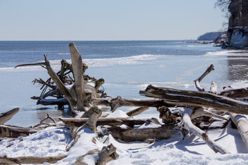 closeup of driftwood piled up along a chesapeake bay beach in winter calvert county southern maryland usa - obrazy, fototapety, plakaty