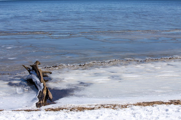 Fototapeta na wymiar closeup of driftwood piled up along a chesapeake bay beach in winter calvert county southern maryland usa