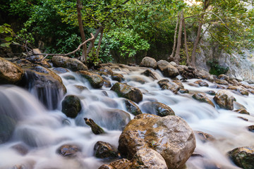A view of flowing waterfall into the forest