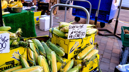 Market Trader Selling Corn on the Cob or Sweetcorn