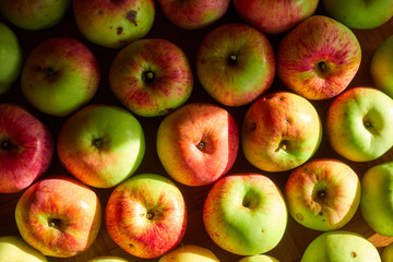 Background of many ripe apples on the floor