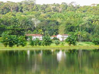 Fototapeta na wymiar Houses by a lake surrounded by Atlantic Forest in the countryside of Itamaraca Island - Pernambuco, Brazil