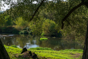 Река Протва в Калужской области.