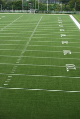 Obraz premium Murawa do futbolu amerykańskiego