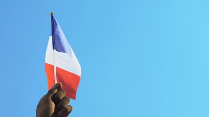Hand of black male holding French flag against sky background, election campaign