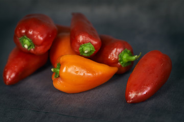 fresh bell pepper on a gray background