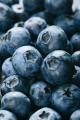 Fresh blueberry background. Texture blueberry berries close up. Vegan and vegetarian concept.