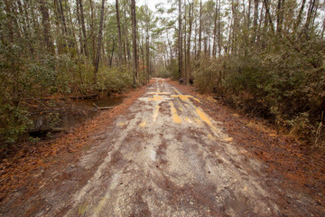 dirt road in rain in calvert county southern maryland