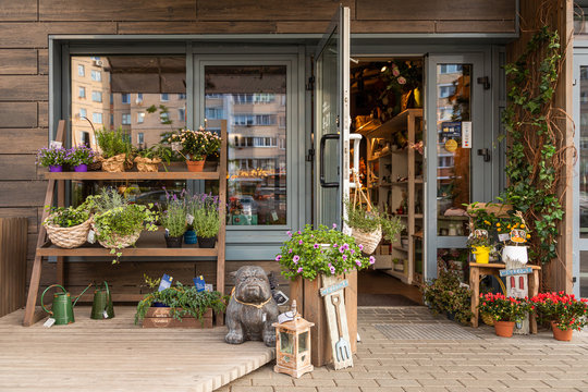 Cosy floral shop with shelves of flowers and garden decorations