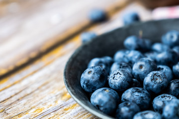 Myrtilles du jardin dans un plat, préparation pour tarte aux myrtilles