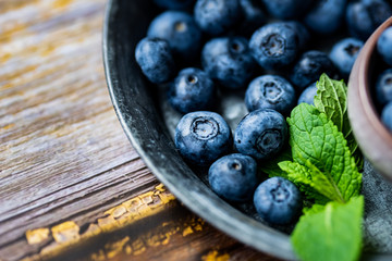 Myrtilles du jardin dans un plat, préparation pour tarte aux myrtilles