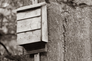 a bat box hangs from a tree in the forest and provides shelter for bats