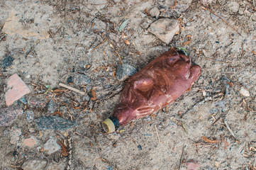 plastic bottle in the forest near the pond. Environmental pollution. Environmental issue and disaster. Go Green, Zero Waste, Save the Planet, Earth Day, No Plastic, Recycling Concept