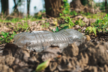 plastic bottle in the forest near the pond. Environmental pollution. Environmental issue and disaster. Go Green, Zero Waste, Save the Planet, Earth Day, No Plastic, Recycling Concept