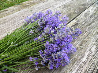 Bunch of fresh lavender flowers on a wooden background.  Top view of floral border or frame with lavender flowers. Floral background of purple flowers of lavender. Frame with space for text, postcard.