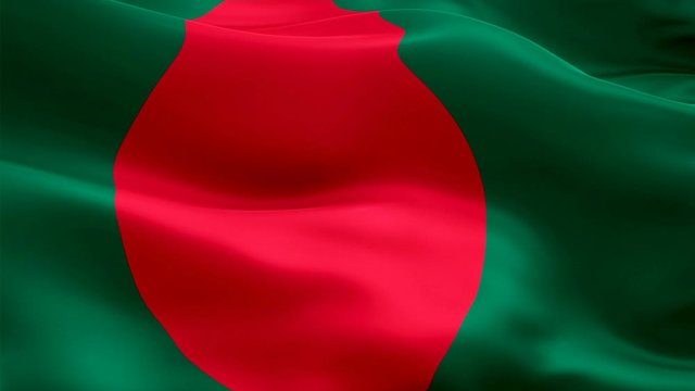 Bangladeshi Flag