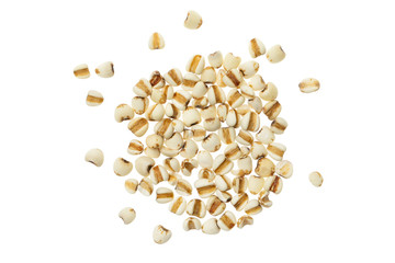 Closeup image of job's tears seeds also known as coix lacryma-jobi isolated at white background.