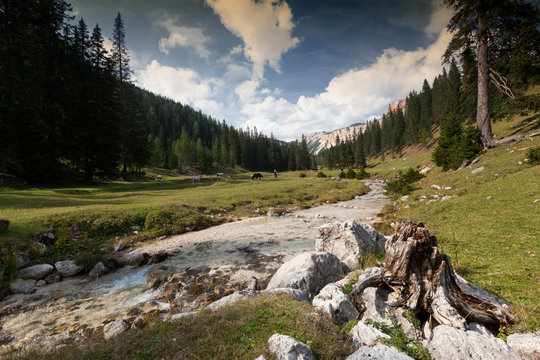 Letto del fiume Boite nella valle prima di Cortina