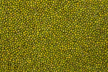 Closeup image of green mung beans pile as food background. Healthy lifestyle concept.