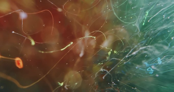 Colourful Fluids and Particles in Motion. Macro. 