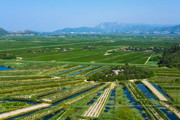 Irrigated agricultural orchards and fields in the delta of Neretva river, Opuzen, Dalmatia, Croatia 