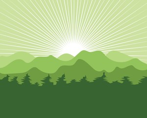 Obraz premium landscape mountain and pines tree vector illustration design