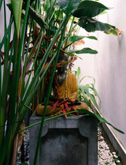 Buddha statue hidden in plants