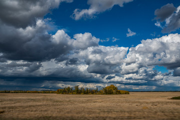 nature, rural, landscape, early, autumn, day, sky, clouds, space, distance, horizon, trees, green, foliage, meadow, grass, walk, observation