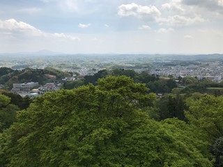 Fototapeta na wymiar Panoramic View of the Forest Park and City in Distance in Japan