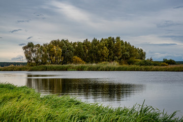 nature, landscape, early, autumn, day, sky, clouds, space, distance, horizon, forest, trees, green, foliage, meadow, grass, shore, river, water, reflection, walk, observation