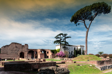 Colle Palatino a Roma con resti archeologici e museo