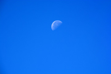 Half Moon During Day in clear Blue Sky, waning moon at daytime azure sky background with copy space