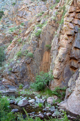 Obraz premium A verticle view of a small mountain stream along varigated colorful rock on a spring day. Bokeh.