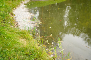 Dirty water in the city park with nobody. top view.