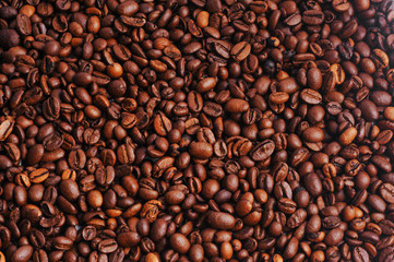 Fototapeta premium Coffee beans studio shooting