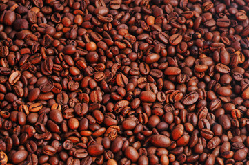 Coffee beans studio shooting