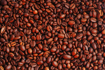 Coffee beans studio shooting