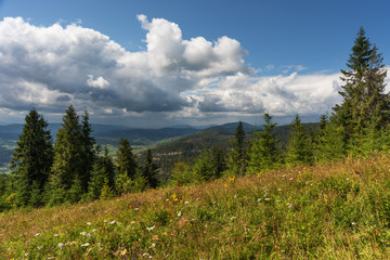 A wonderful walk along the ridge in the Ukrainian Carpathians amidst the scent of flowers, the dramatic cloudy sky before the rain with a thunderstorm.