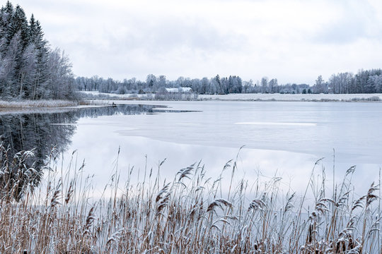 view to the lake Katvari and its surrounding forest in winter season with snow and ice in Latvia