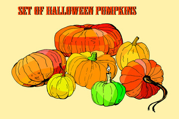 set of pumpkins , vector isolated  images on colored background, doodles 