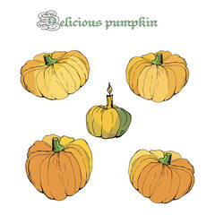 set of pumpkins , isolated images on white background, doodles 