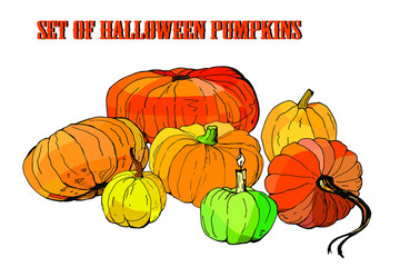 set of pumpkins , vector isolated  images on white background, doodles