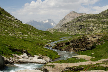 Fototapeta na wymiar Stream in the valley of the mountains, Alps, France