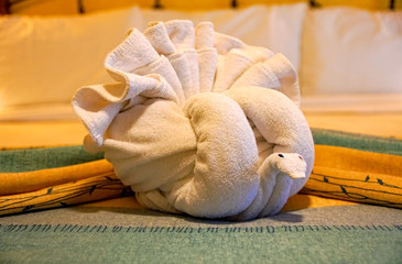 Beautiful Peacock Towel Bed Decoration.