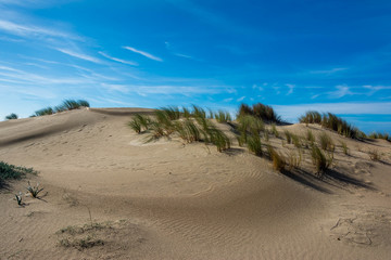 fine sand dunes close to the beach in Cadiz