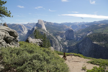   yosemite national  park amazing nature